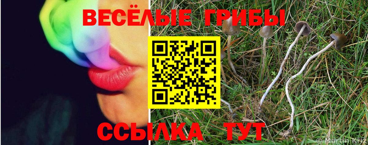Псилоцибиновые грибы MAGIC MUSHROOMS  Вход с VPN  Майский 